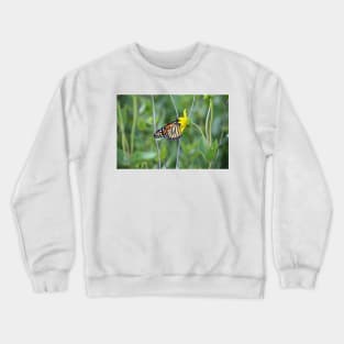 Monarch Butterfly Crewneck Sweatshirt